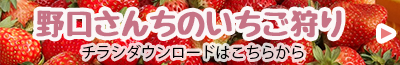 春日部野口農園