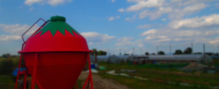 イチゴのサイロから野口農園を望む